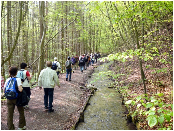 584x433 pixels (196K)